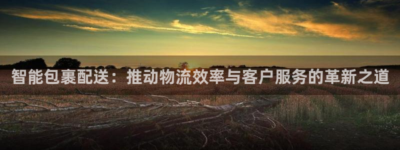 多多28充值不到账怎么办：智能包裹配