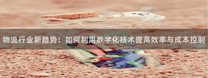 多多28登录流程：物流行业新趋势：如