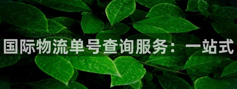 多多28赌博软件正规吗