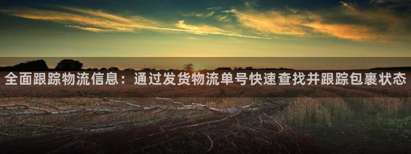 多多28自行车图片大全