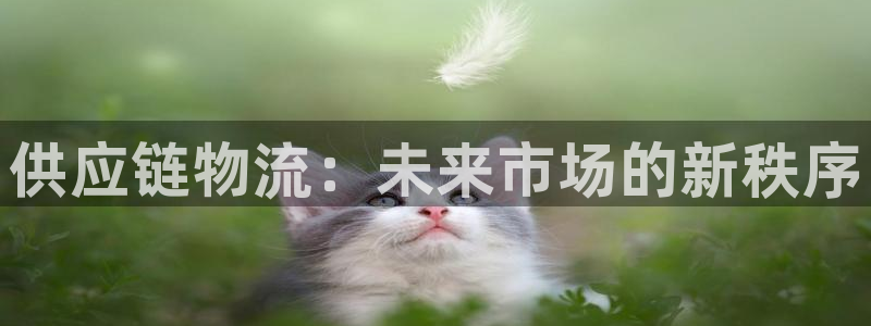 多多28官网入口2024