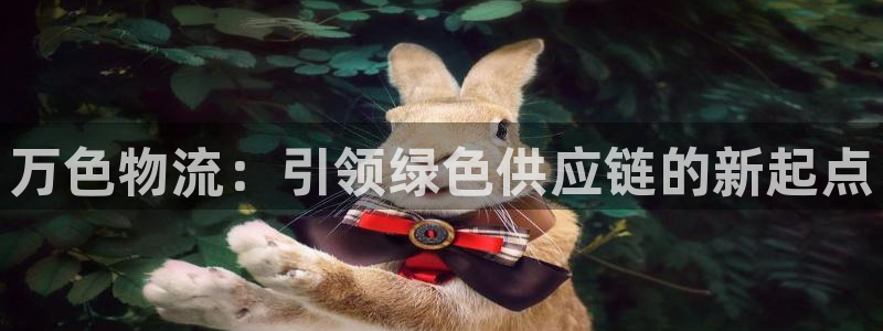 多多28大舞台