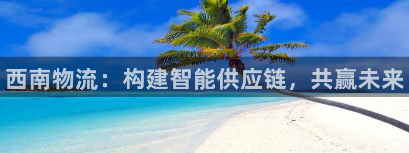 多多28新用户怎么注册：西南物流：构