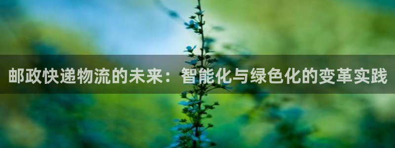 多多28充值不到账什么原因