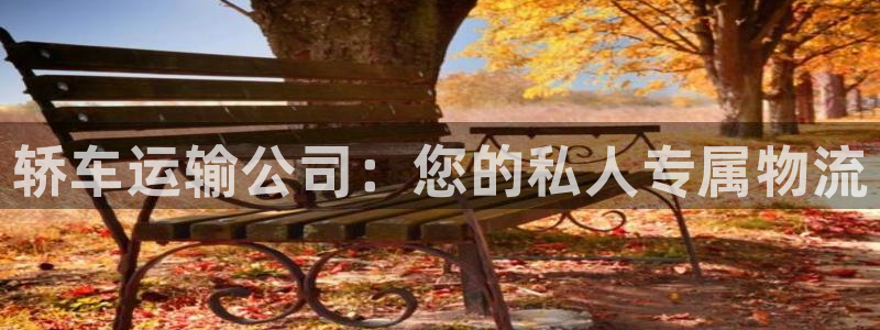 多多28正规吗?：轿车运输公司：您的