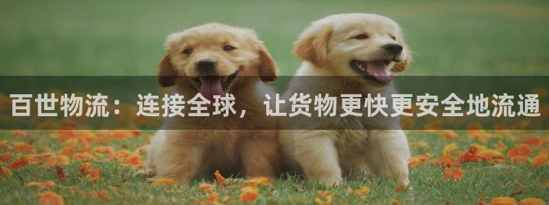 多多28注册网址百度知道：百世物流：