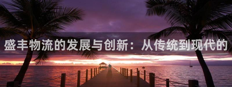 多多28辅助：盛丰物流的发展与创新：