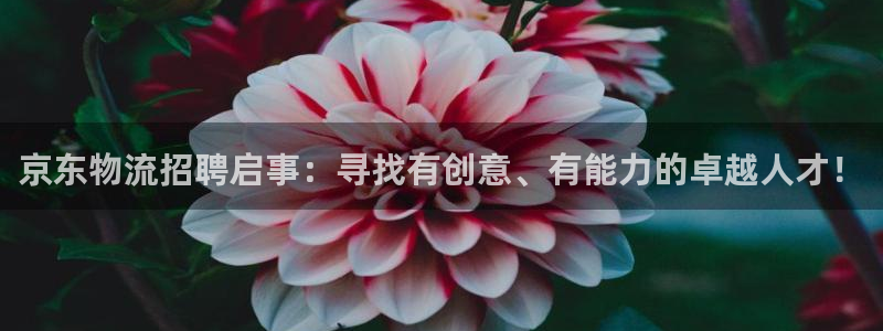 加拿大多多28数字规则：京东物流招聘