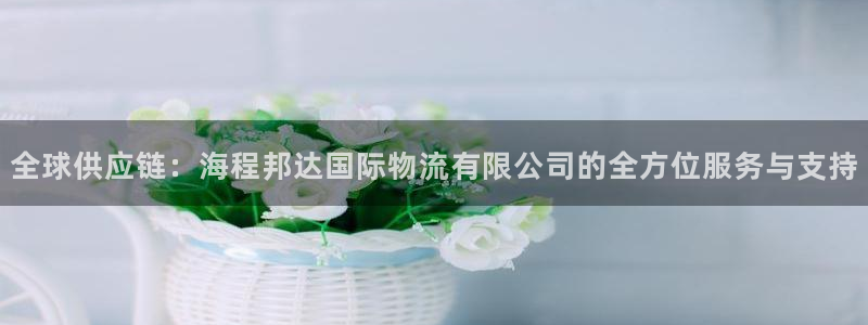 多多28软件堵什么反什么：全球供应链