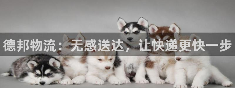 自行车多多28是什么意思：德邦物流：无感送达，让快递更快一步