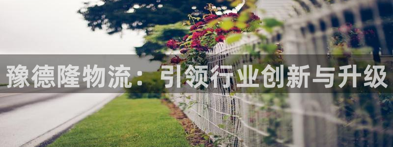 多多28游戏最新版：豫德隆物流：引领