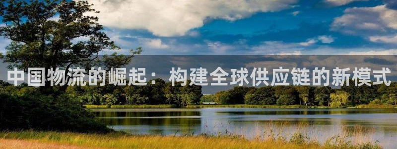 多多28模拟器：中国物流的崛起：构建