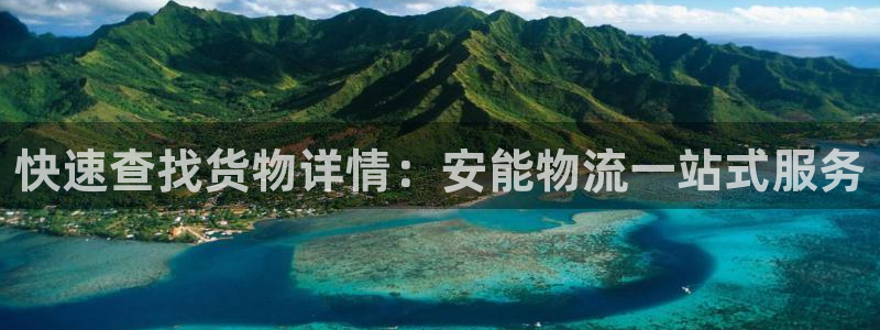 多多28初始资金密码在哪里改：快速查找货物详情：安能物流一站