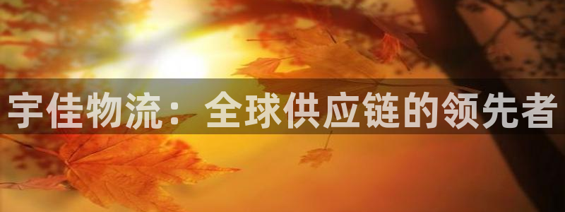 多多28链接是什么：宇佳物流：全球供