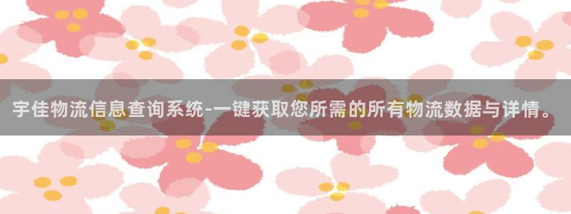 多多28链接是什么：宇佳物流信息查询系统-一键获取您所需的所