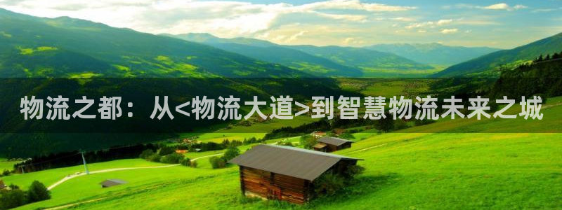pc多多28怎么注册：物流之都：从<