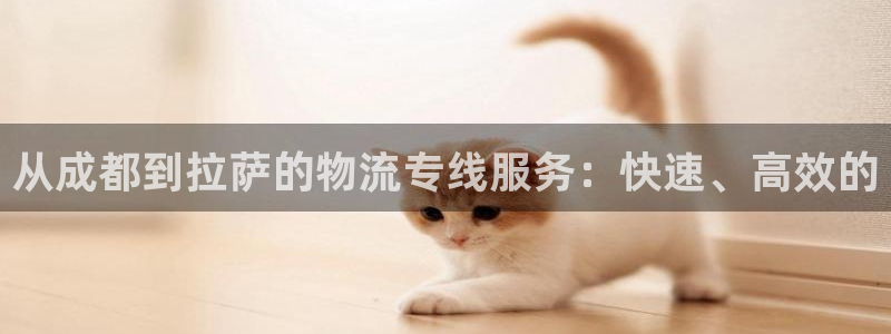 多多28代理落网：从成都到拉萨的物流专线服务：快速、高效的