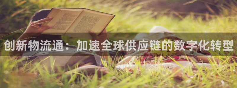 多多28官方网站是多少：创新物流通：加速全球供应链的数字化转