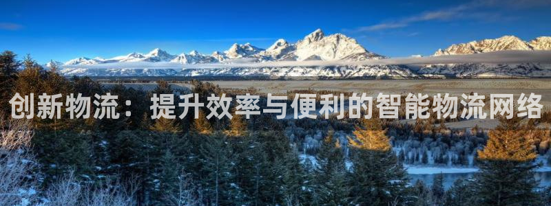 多多28开奖预测：创新物流：提升效率