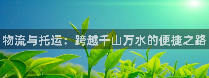 多多28预测加拿大师准：物流与托运：