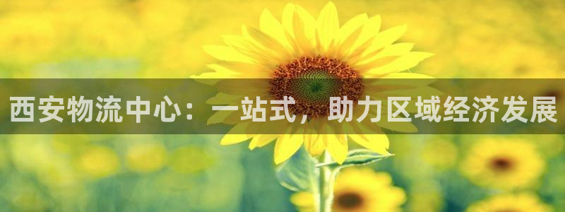 多多28为什么打不开：西安物流中心：