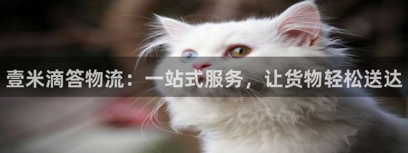 多多28图片:壹米滴答物流:一站式服