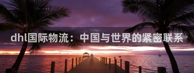 多多28注册二维码:dhl国际物流: