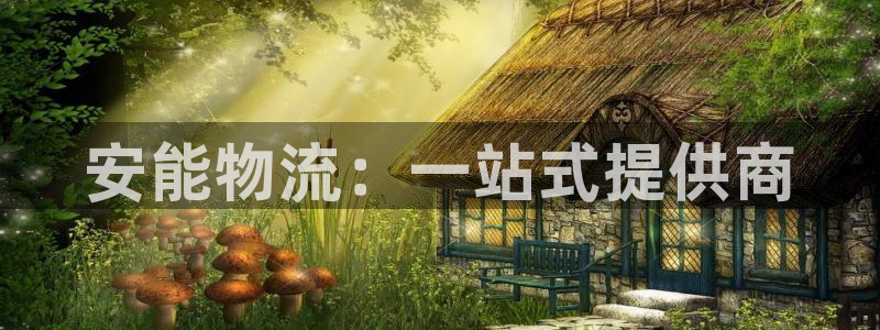 多多28大神预测:安能物流:一站式提