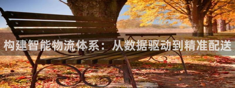 多多28注册账号：构建智能物流体系：