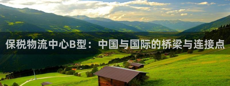 多多28加拿大下载：保税物流中心B型