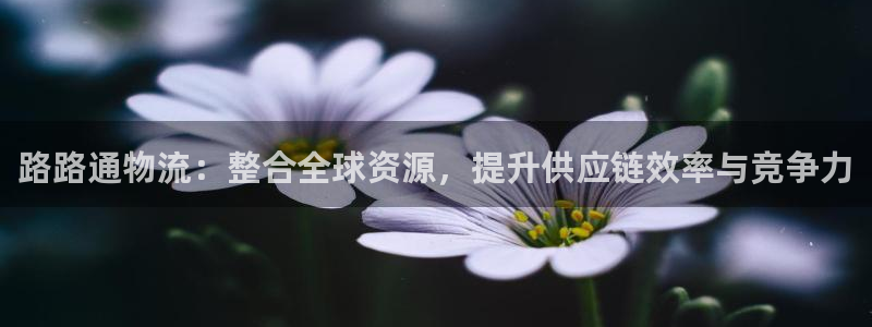 多多28下载不了:路路通物流:整合全