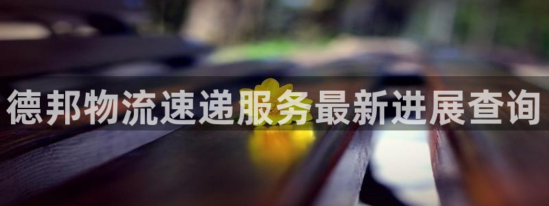 多多28官网开奖结果预测:德邦物流速